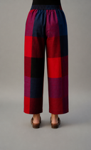 Red-Blue Checks Handloom Cotton Antifit Co-ord Set with Button Detailing (set of 2)