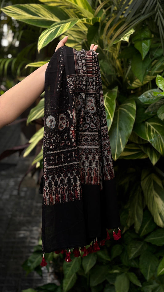 Black Hand Block Printed Ajrakh Dupatta