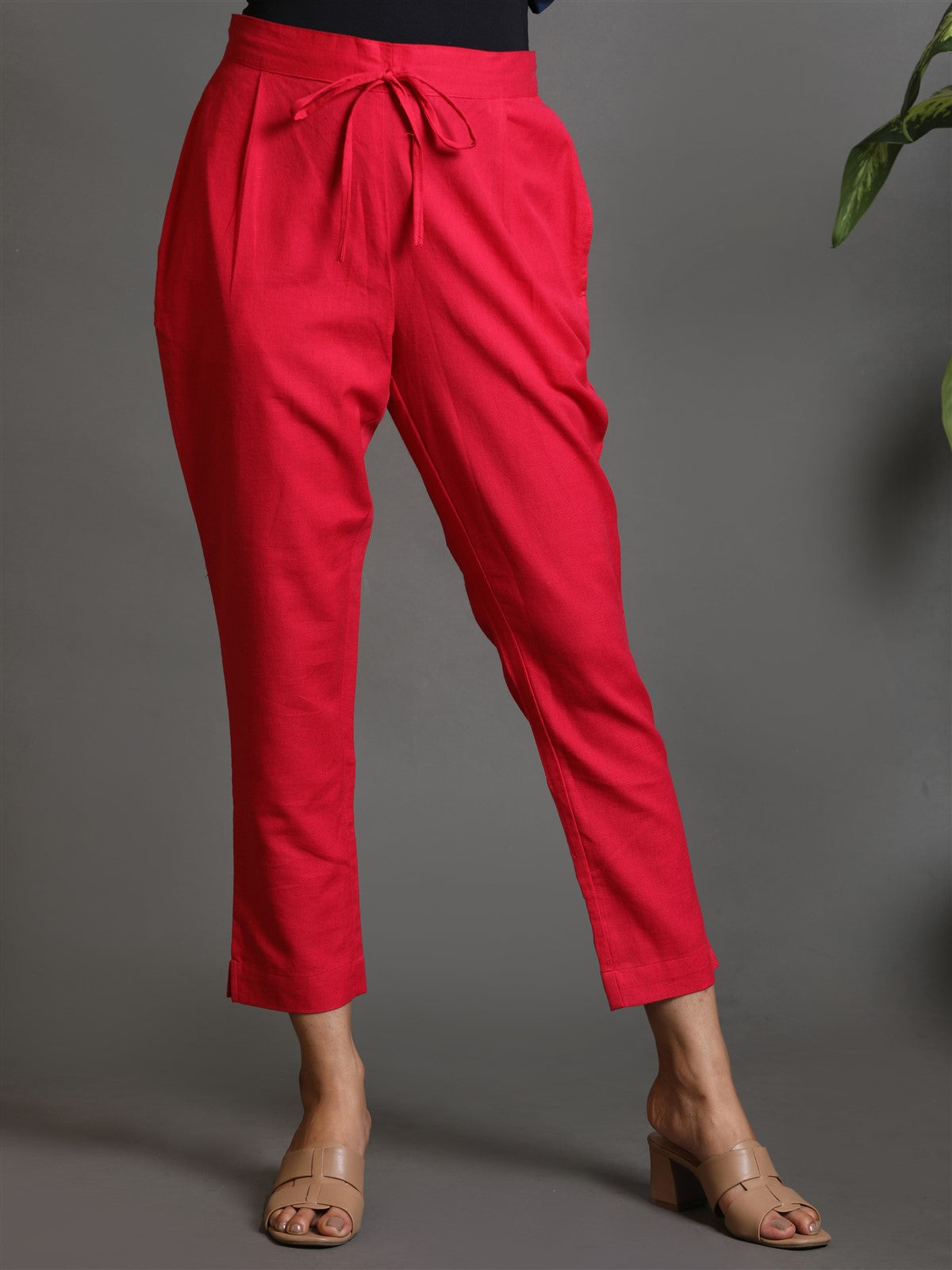 Fuchsia Regular Fit Cotton Pant